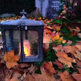 Grablicht im Herbstlaub