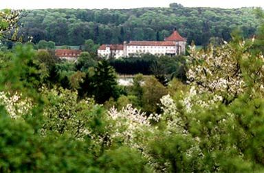 Schloss Derneburg mit Bäumen im Vordergrund