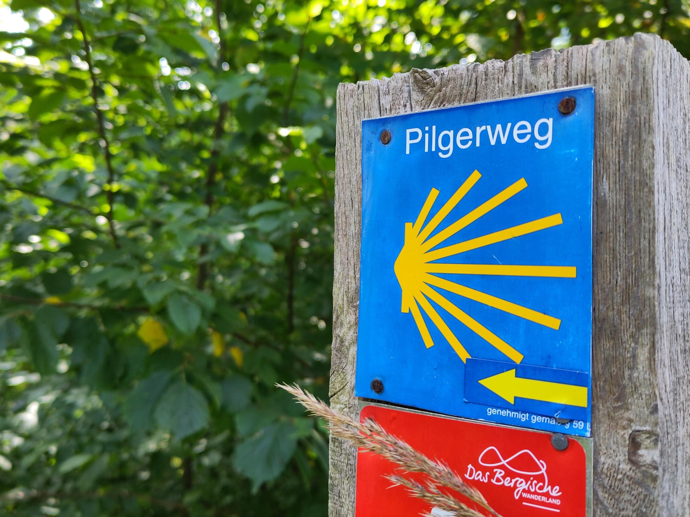 Ein Schild mit der Aufschrift 'Pilgerweg' und Jakobsmuschel-Symbol auf einem Holzpfosten, im Hintergrund Blattwerk