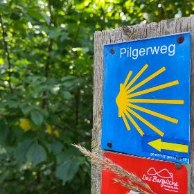 Ein Schild mit der Aufschrift 'Pilgerweg' und Jakobsmuschel-Symbol auf einem Holzpfosten, im Hintergrund Blattwerk